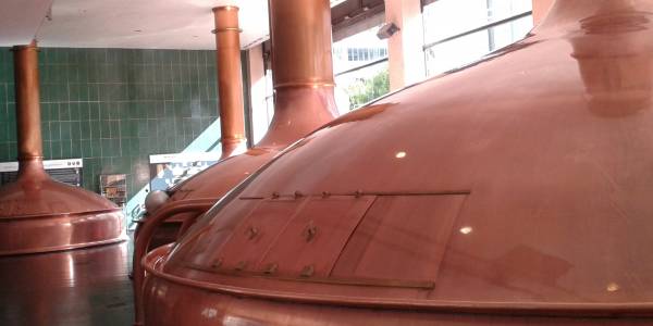 Teaser Image: Reguläre Besichtigung Tour 1 in englischer Sprache jeden Samstag