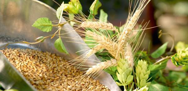 Teaser image: Sommelier-Abende Spaten-Franziskaner-Löwenbräu